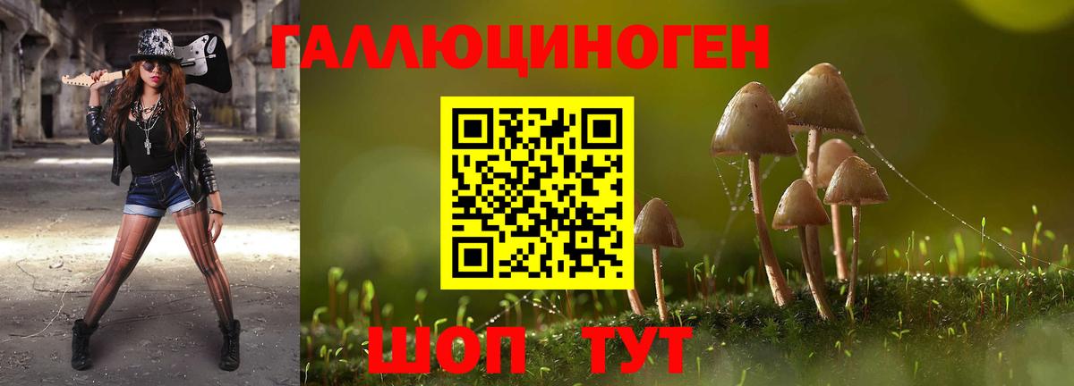 Галлюциногенные грибы Magic Shrooms  Вход с VPN  даркнет сайт  Галлюциногенные грибы Psilocybine cubensis  Заволжье 